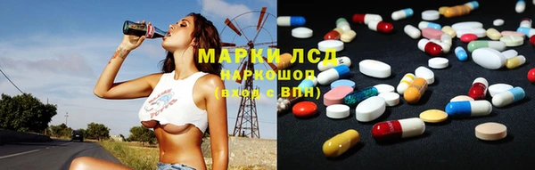 стаф Аркадак