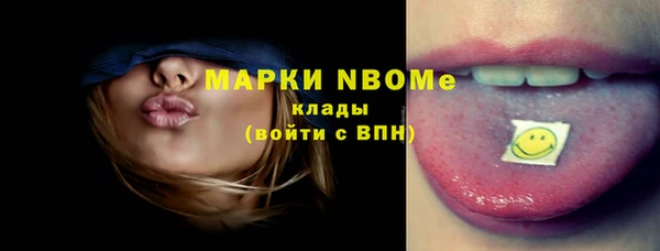 стаф Аркадак