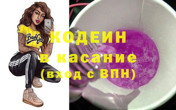 стаф Аркадак