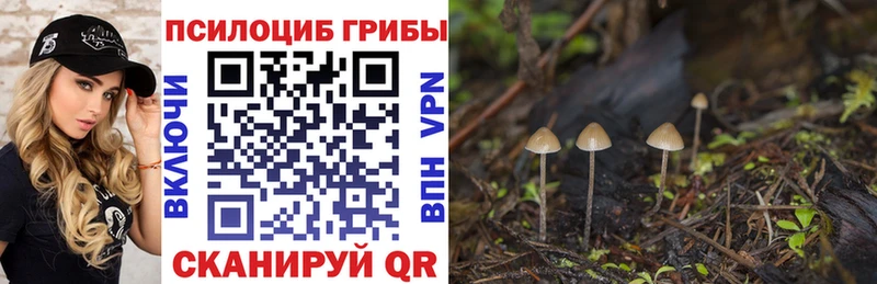 Галлюциногенные грибы Cubensis  OMG как войти  Чапаевск 